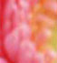 Gallery Thumbnai