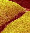 Image Example